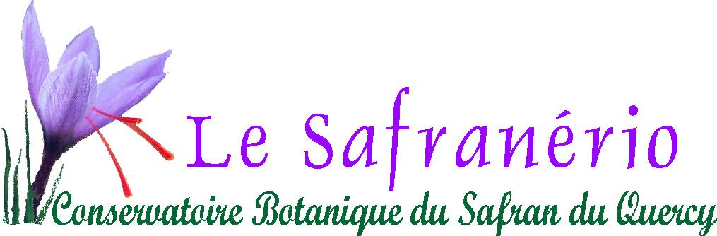 10-Logo-safranério